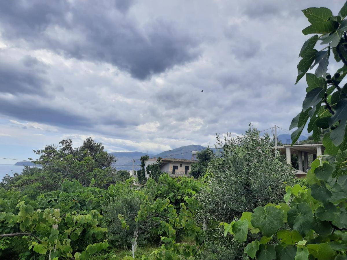 Hillside Apartments Borsh Εξωτερικό φωτογραφία