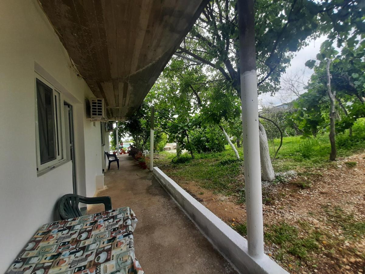 Hillside Apartments Borsh Εξωτερικό φωτογραφία