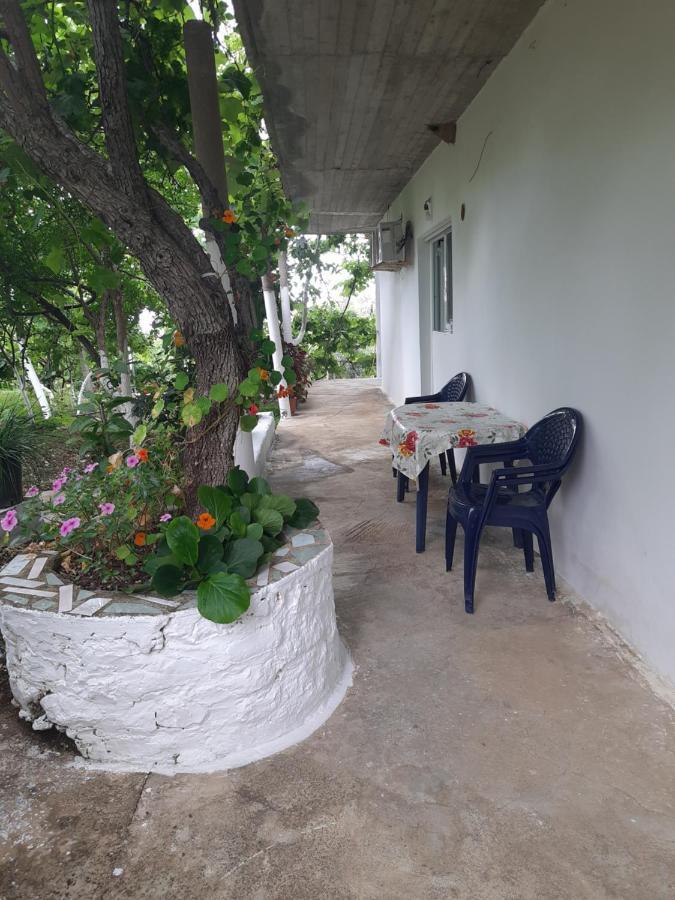 Hillside Apartments Borsh Εξωτερικό φωτογραφία