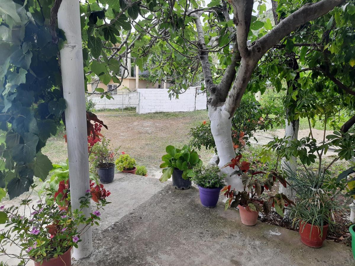 Hillside Apartments Borsh Εξωτερικό φωτογραφία
