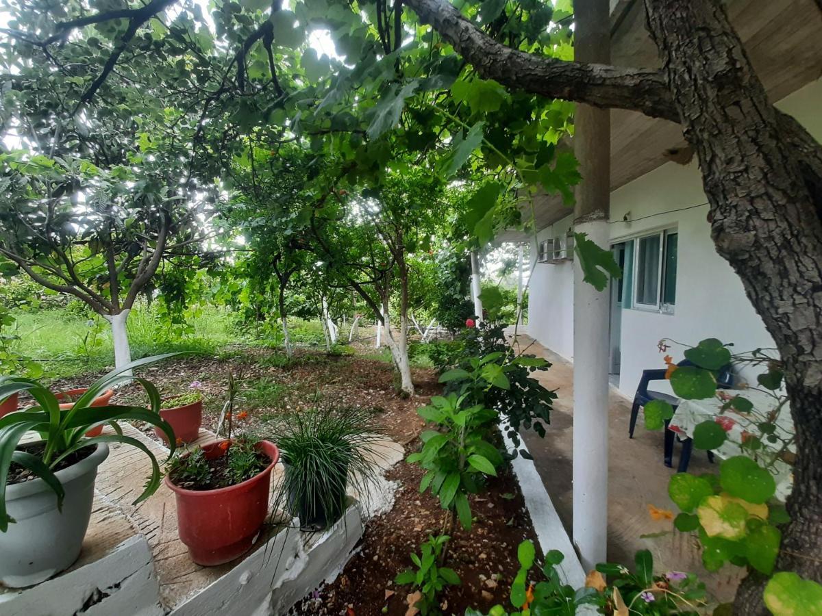 Hillside Apartments Borsh Εξωτερικό φωτογραφία