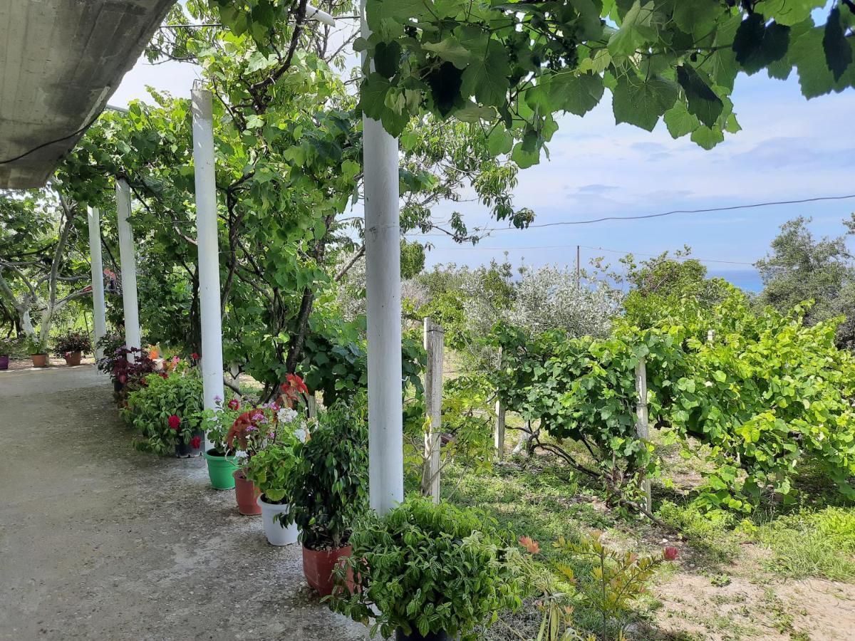 Hillside Apartments Borsh Εξωτερικό φωτογραφία