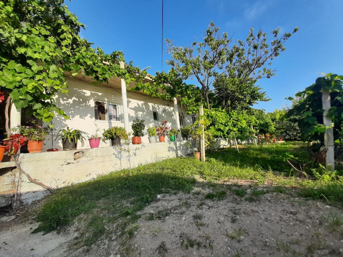 Hillside Apartments Borsh Εξωτερικό φωτογραφία