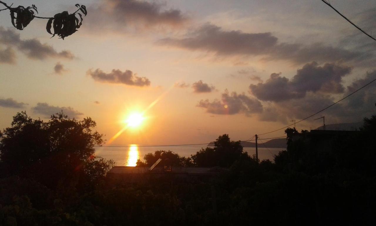 Hillside Apartments Borsh Εξωτερικό φωτογραφία